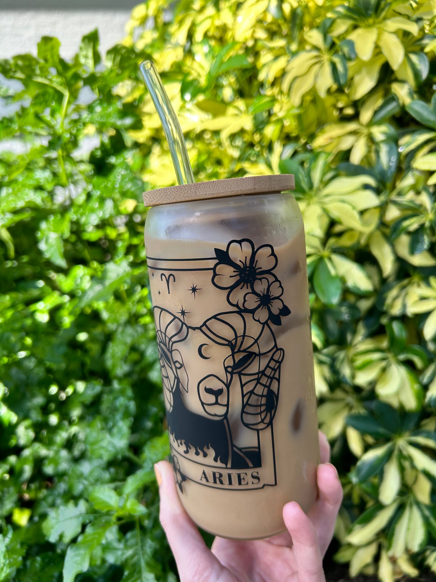 Aries Cup